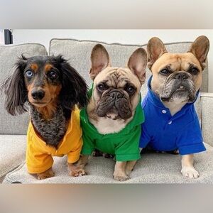 Ralph Lauren Dark Green Polo with Red Logo Dog Shirt Sz XS